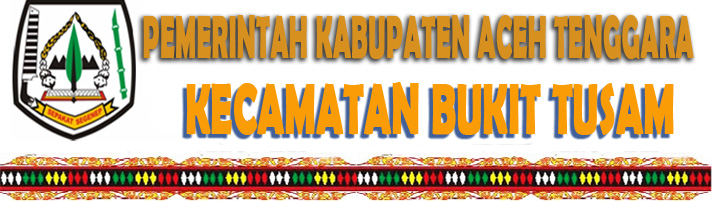 salangbaru/