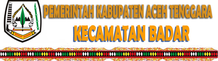 salangbaru/